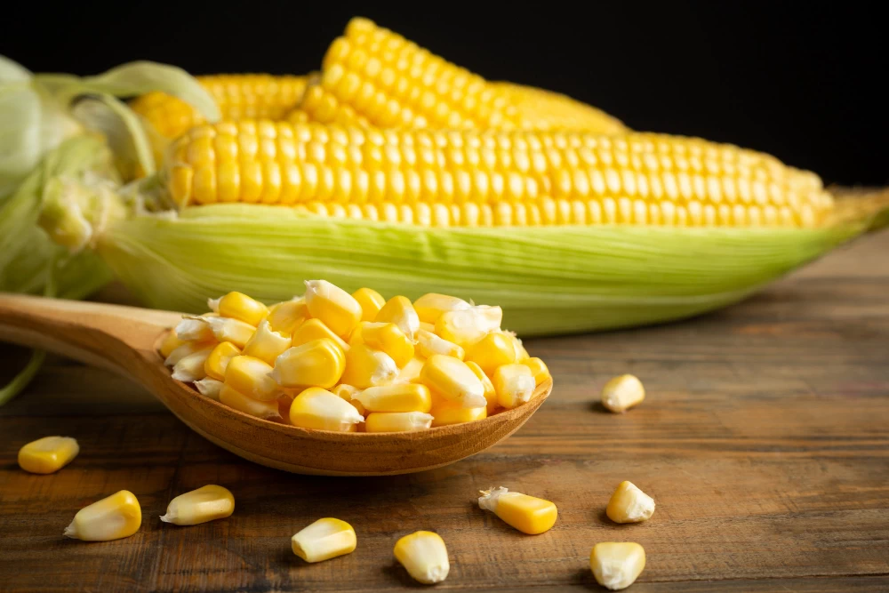 Jagung Premium